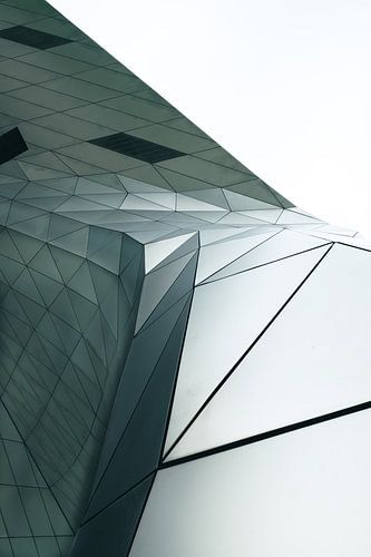 Lignes épurées au Musée des Confluences, Lyon