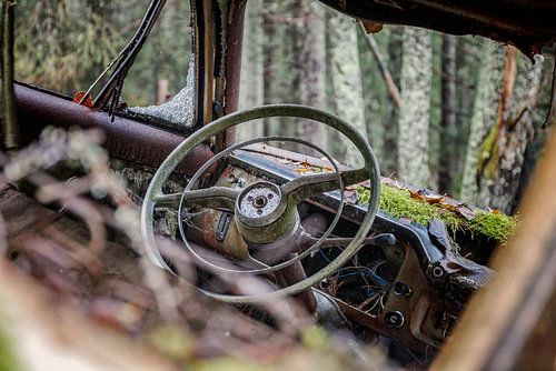 Roestige erfenissen in het bos - autokerkhof in Zweden