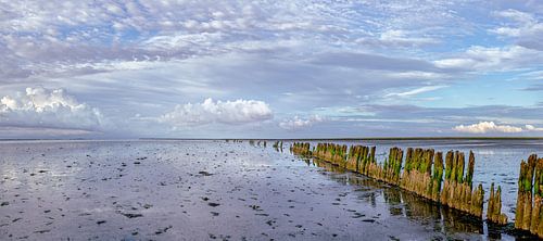 Wadden - Moddergat before sunset I