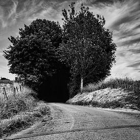 De weg die naar het donker leidt... van Niels Hemmeryckx