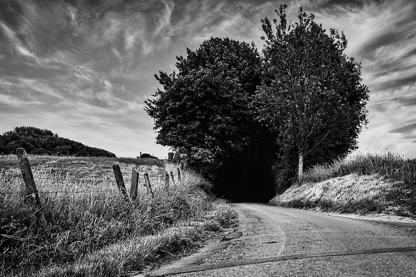 De weg die naar het donker leidt... van Niels Hemmeryckx