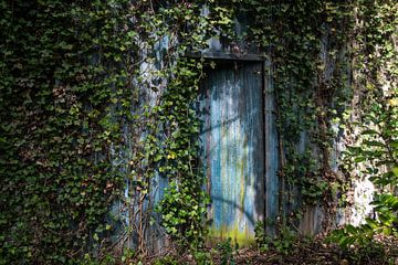 the old entrance by philippe evenepoel