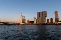Erasmusbrug Rotterdam