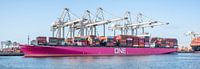 Containerschiff One Hanoi am Frachtterminal im Hafen von Rotterdam von Sjoerd van der Wal Fotografie Miniaturansicht