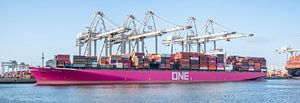 Containerschip One Hanoi bij de vrachtterminal in de haven van Rotterdam van Sjoerd van der Wal Fotografie