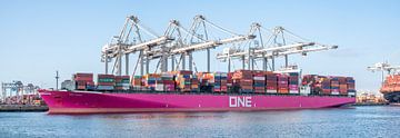 Container ship One Hanoi at the freight terminal in the Port of Rotterdam by Sjoerd van der Wal Photography