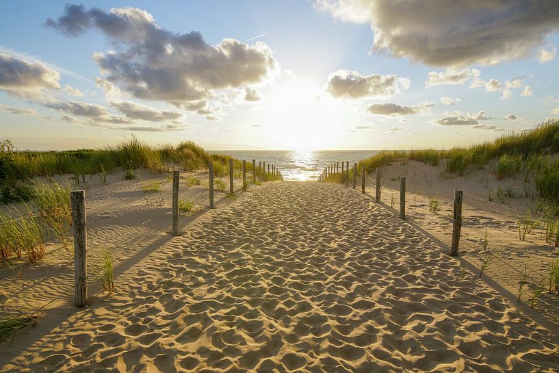 Dune, beach and sea by Dirk van Egmond