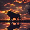 La silhouette d'un lion au coucher du soleil sur Bert Hooijer