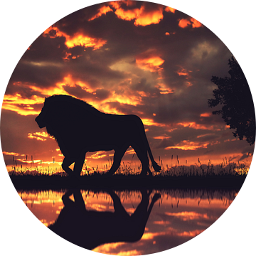 Een silhouet van een leeuw in de zonsondergang van Bert Hooijer