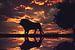 Eine Silhouette eines Löwen im Sonnenuntergang. von Bert Hooijer