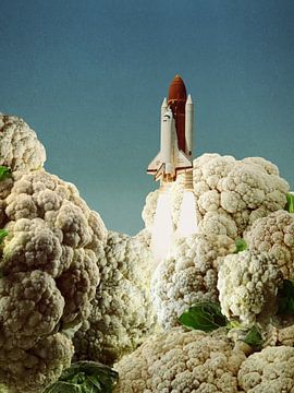 Houston we hebben bloemkool - Raket opstijgen van Vertigo Artography