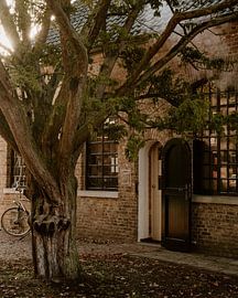 Politik der offenen Tür bei der Historischen Gesellschaft Nuenen von Amy Harper Fotografie