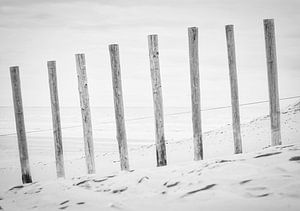 Het strand, Zandvoort