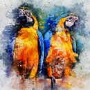 Zwei Papageien, Aquarell von zwei blau-gelben Aras in Gelb, Orange, Blau | The Bird Collection von MadameRuiz Miniaturansicht