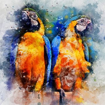 Two Parrots, watercolor of two blue-yellow macaws in yellow, orange, blue | The Bird Collection by MadameRuiz