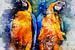 Twee Papegaaien, aquarel van twee blauw-gele ara's in geel, oranje, blauw | The Bird Collection van MadameRuiz