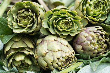 Artichokes by Ooks Doggenaar