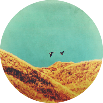 Freedom Vintage  van AD DESIGN Photo & PhotoArt