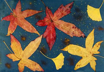 Natte cyanotypie met kleurrijke herfstbladeren van Retrotimes