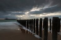 Holländische Wolken und Wellenbrecher aus Holzstäben entlang der Küste von Zeeland von gaps photography Miniaturansicht