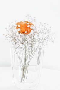 lonely rose