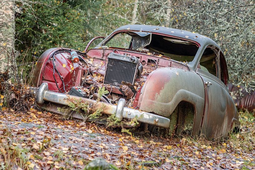 Roestige erfenissen in het bos - autokerkhof in Zweden van Gentleman of Decay