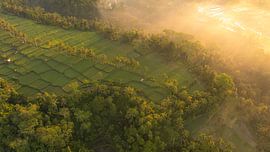 Sonnenaufgang über Reisfeldern in Bali von Ewold Kooistra