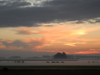 misty morning