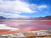Red Lake, Laguna Colorada at Uyuni in Bolivia by iPics Photography thumbnail