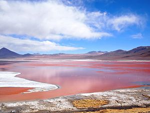 Roter See, Laguna Colorada bei Uyuni in Bolivien von iPics Photography