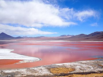 Roter See, Laguna Colorada bei Uyuni in Bolivien