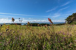 Nahaufnahme, Groß Zicker, Blick zum Klein Zicker, den Zicker See und die Ostsee, Rügen