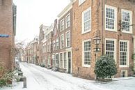 Leiden in de sneeuw van Dirk van Egmond thumbnail