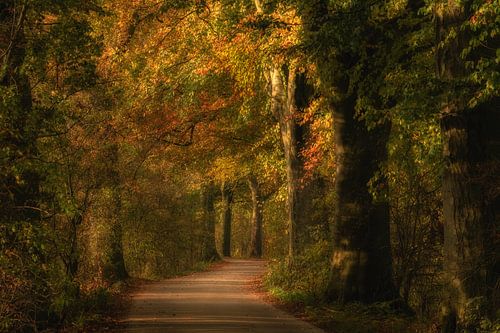 Herfst