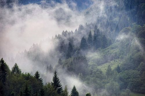 Na de regen, Slowakije.