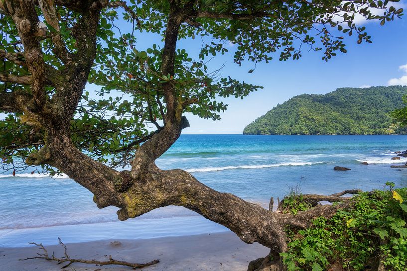 Maracas Bay Beach van Bart Hendrix