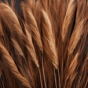 Plumes de pampus beige