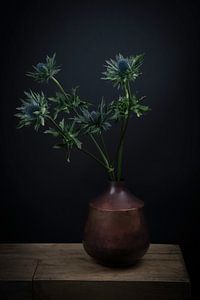 Modernes Stillleben: Blaudistel