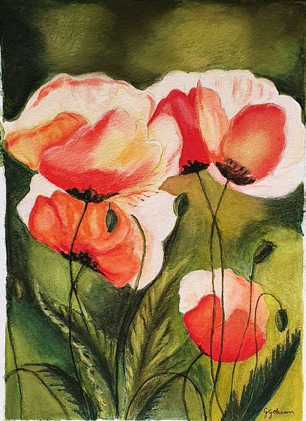 Mohnblumen 1 von Gulserin Gokcan