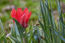 Breakthrough by Photoart-Naegele