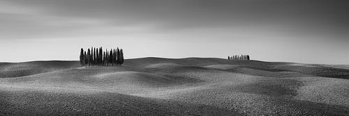 Typisch landschap van Toscane in Italië in zwart-wit.