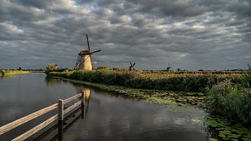 Kinderdijk van Bert Visser