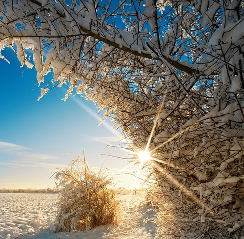 Winterlandschap