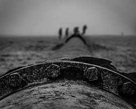 Wandeling op het strand van Kristiaan Hartmann