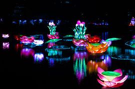 Reflections in Colors by Brian Morgan