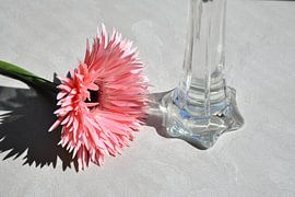 Kunst in het zonlicht van Matthias Spartz