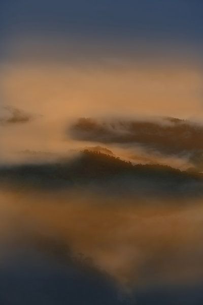 Sunrise in the rainforest of the Andes of Colombia by Catalina Morales Gonzalez