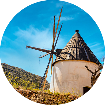 Windmolen bij Cabo da Gata Andalusië Spanje van Dieter Walther
