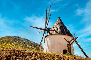 Windmolen bij Cabo da Gata Andalusië Spanje van Dieter Walther