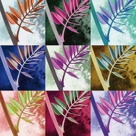 Colorful leaves by Willeke Vrij